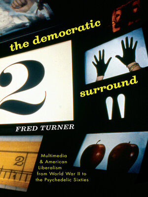 cover image of The Democratic Surround